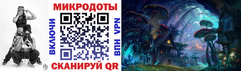 Псилоцибиновые грибы Psilocybine cubensis  Кунгур 